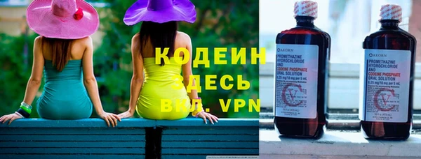 гашик Пестово