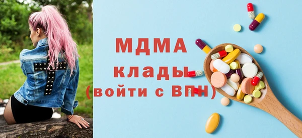 индика Весьегонск