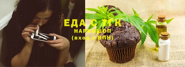 гашик Пестово