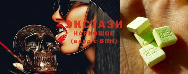гашик Пестово
