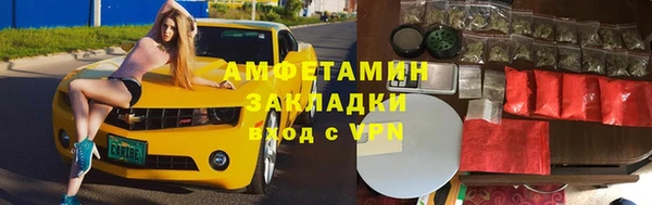 гашик Пестово