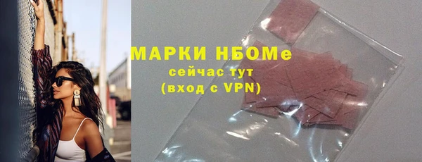 гашик Пестово