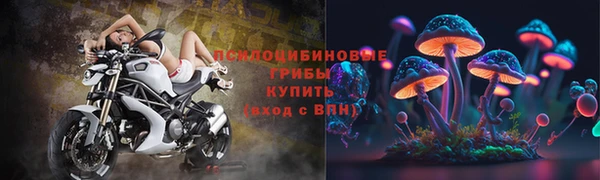 гашик Пестово