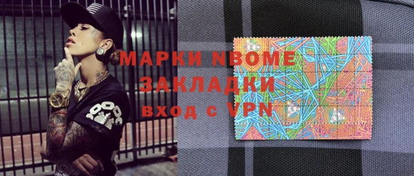 гашик Пестово
