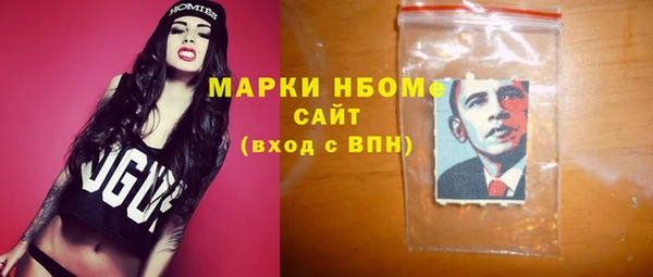 гашик Пестово