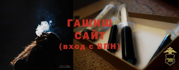 гашик Пестово
