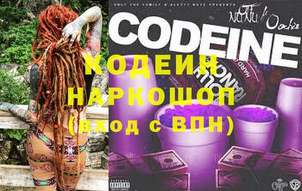 гашик Пестово