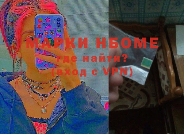 гашик Пестово