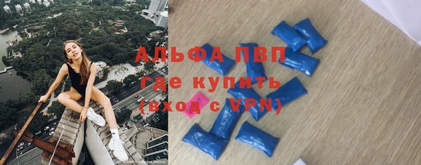 гашик Пестово